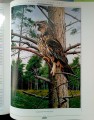 Nowy Dokument 2017-05-05_5.jpg