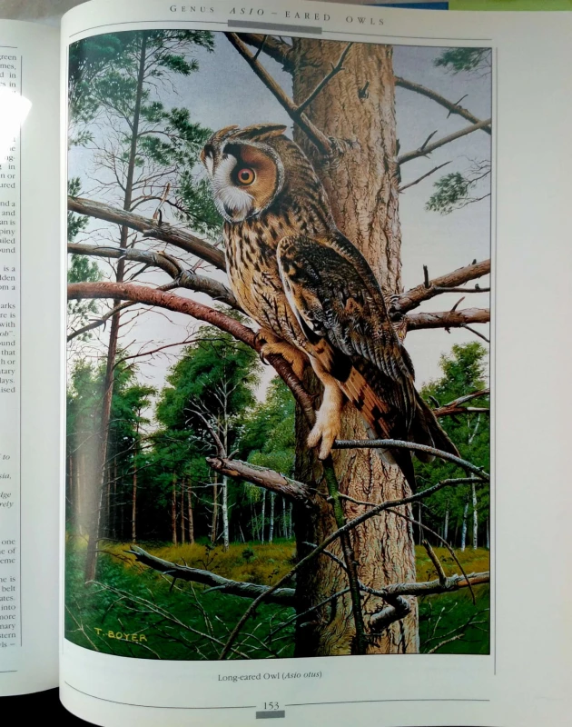 Nowy Dokument 2017-05-05_5.jpg