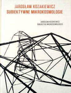 Jarosław Kozakiewicz, Subiektywne mikrokosmologie